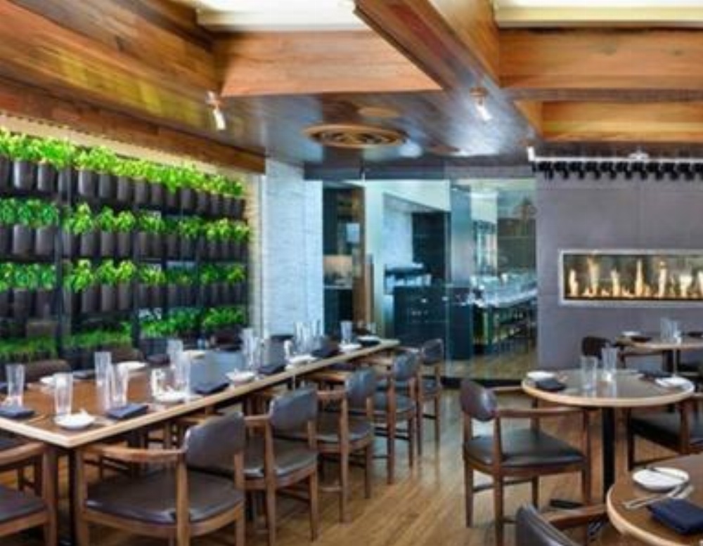 Luxury Suites at Palms Place Main image